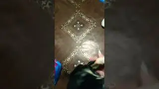 Встречает маму с работы # Соня#собаченька моя☺