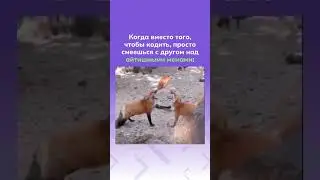 Классика
