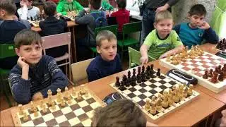 Шахматный кружок 