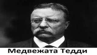 Теодор Рузвельт. Медвежата Тедди