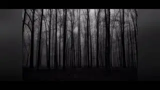 DSBM collection #1 Black Metal
