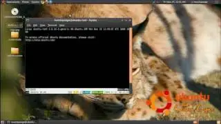 Ubuntu 10.04 LTS: The Lucid Lynx Pre-Alpha