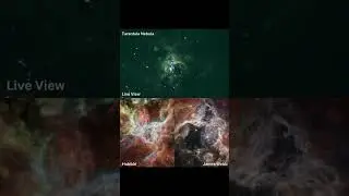 Tarantula Nebula 