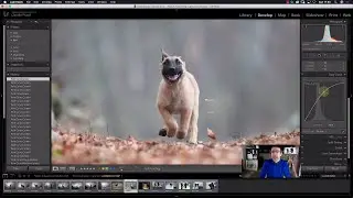 Lesson 3 - How to use the TONE CURVE in Lightroom