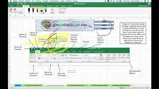 Herramientas Básicas de Microsoft Excel.