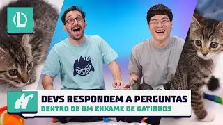 Devs respondem a perguntas dentro de um enxame de gatinhos | League of Legends