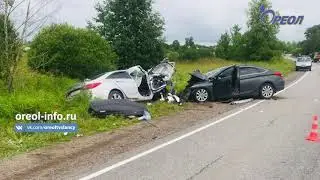 Смертельное ДТП в районе деревни Пелеши