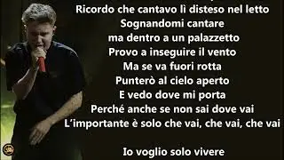 Alfa Vai Testo