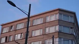 Martinets et trous de ventilation: colonie Odon