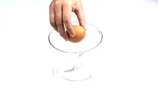 EXPERIMENT: LIQUIDISER vs EGGS
