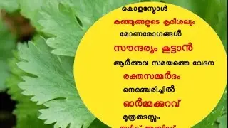 എല്ലാ പ്രയാസങ്ങൾക്കും ഒരൊറ്റമൂലി  Ayurvedic Home Remedy
