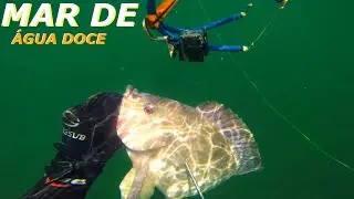 Pesca Sub - Mar De Água Doce |FAMA SUB|  #pescasub #rioparaná #fishing