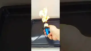 Lighter vs Ping Pong Lighter Shorts Video