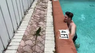Swimmin' with an Iguana