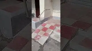 Типичный Петербург
