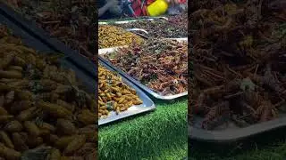 Fried exotic foods at Khonkhaen Thailand night market #viral #shorts #travel #food #thailand