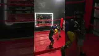 Sparring de box