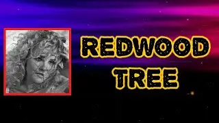 Cam - Redwood Tree (Lyrics)