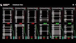 Haasonline Trade Server - Orderbook View