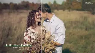 AUTUMN LEAVES VIDEO LUT
