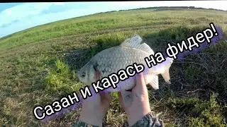Кормушка и Убийца карася в деле!Карась и сазан на спиннинг!