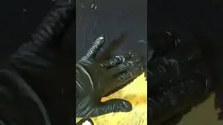 Как вам котик? Как назовем?