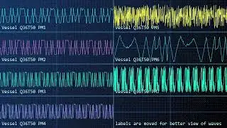 Restless One (Vessel Tfifty PMR)