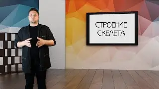 ЕСТЕСТВОЗНАНИЕ 6 КЛАСС СТРОЕНИЕ СКЕЛЕТА