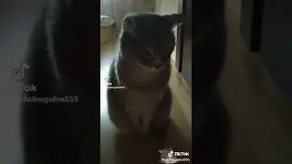 Наш любимый и родной дядя Стёпа золотой.
