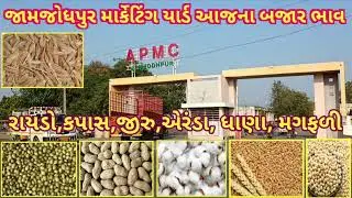 જામજોધપુર અને રાજકોટ માર્કેટીંગ યાર્ડના બજારભાવ