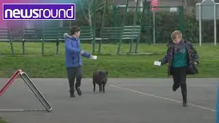 The School with Pupils and... PIGS!! | Newsround
