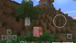 Банька Парилка|Minecraft