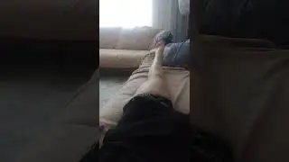 PORNOOOOO