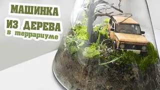 КАК СДЕЛАТЬ ВЕЧНЫЙ ТЕРРАРИУМ! МАШИНКА ИЗ ДЕРЕВА ВНУТРИ ТЕРРАРИУМА.