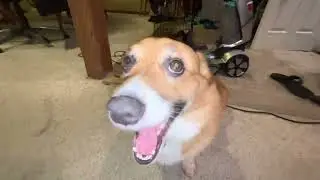 Duncan