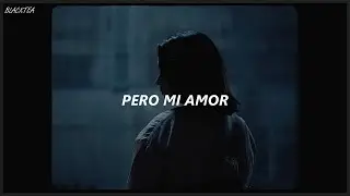My Love Mine All Mine| Mitski