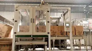 CASE PACKER