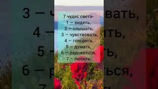 #цитаты #цитатысосмыслом #шортс #ютубер #красота #лайк #комментарии #youtubeshorts