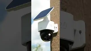 Best Security Cameras 2023-2024 