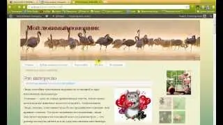 Плагин Portfolio Slideshow вид на блоге