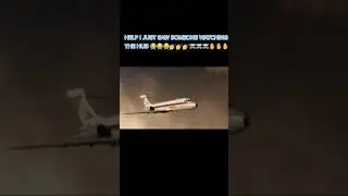 🛫HELP 😫😫 #planecrash #sad✈️
