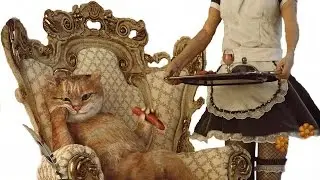 Владыка Мира. Кот на раслабоне где хочу там и отдыхаю.Bold Cat.