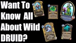 Wild Class Overviews: DRUID!