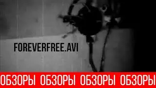 ОБЗОРЫ (ВЫПУСК 113) СМЕРТЕЛЬНЫЙ ФАЙЛ FOREVERFREE.AVI