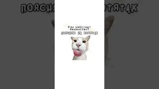 Как работает бешенство?