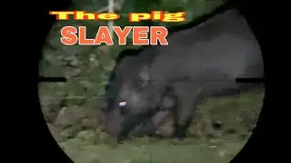 FERAL PIG NIGHT HUNTING  (the slayer)