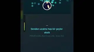 Gökhan Kırdar- Yerine Sevemem(karaoke)