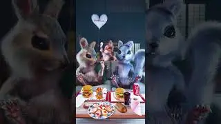 Funny Squirrel Egofilm pets 