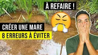 Créer une Mare de Jardin : 8 ERREURS! (j'ai merdé...😅)