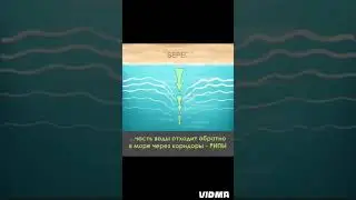 Этот ролик спасет тебе жизнь. Почему гибнут люди?
